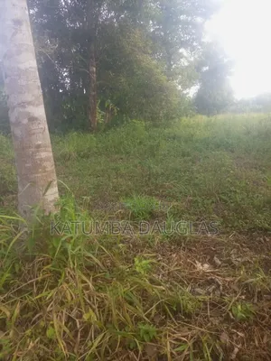 Plot Masavu