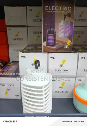 Electric Mosquito Killing Lamp