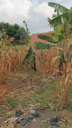 Land for Sale – Namugongo, Nabusugwe Town