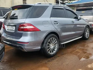 Mercedes-Benz M Class 2015 Silver