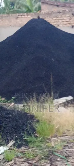 Plain Biochar