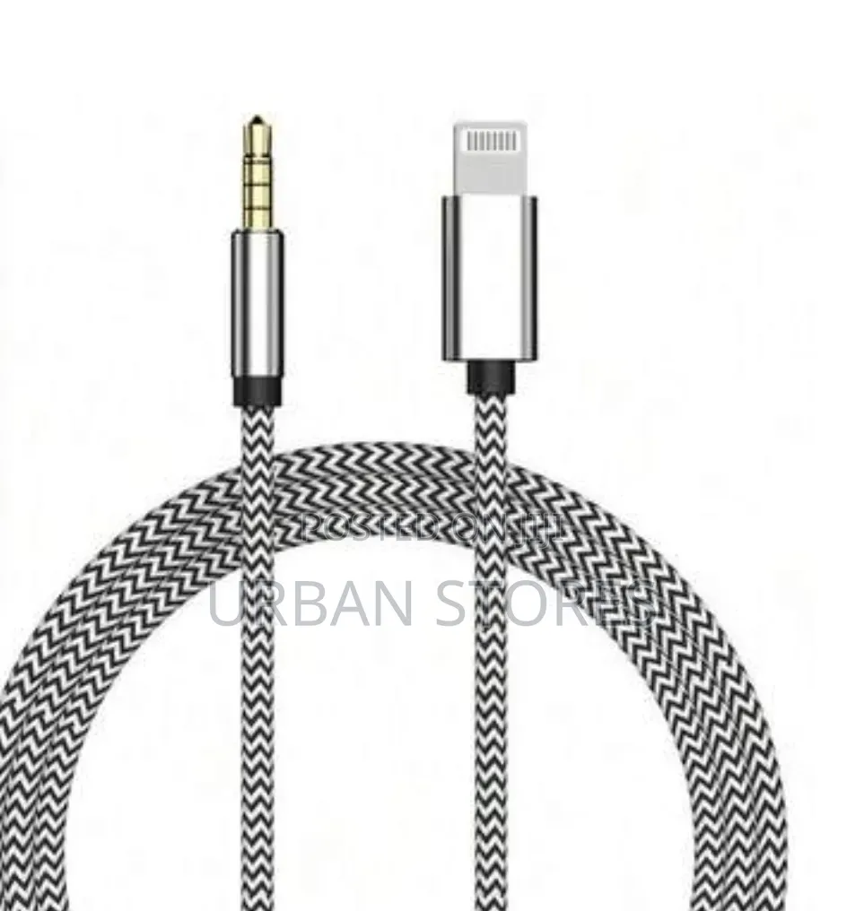 Lightning to 3.5mm Aux Audio Cable.