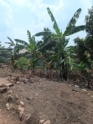 Land 50ft by 100ft