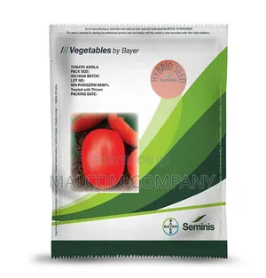 Assila F Tomato Seeds (10,000 Seeds and Acre)