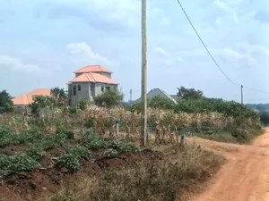 6 Prime Plots for Sale  Located at Gayaza_Dundu Along at 35m