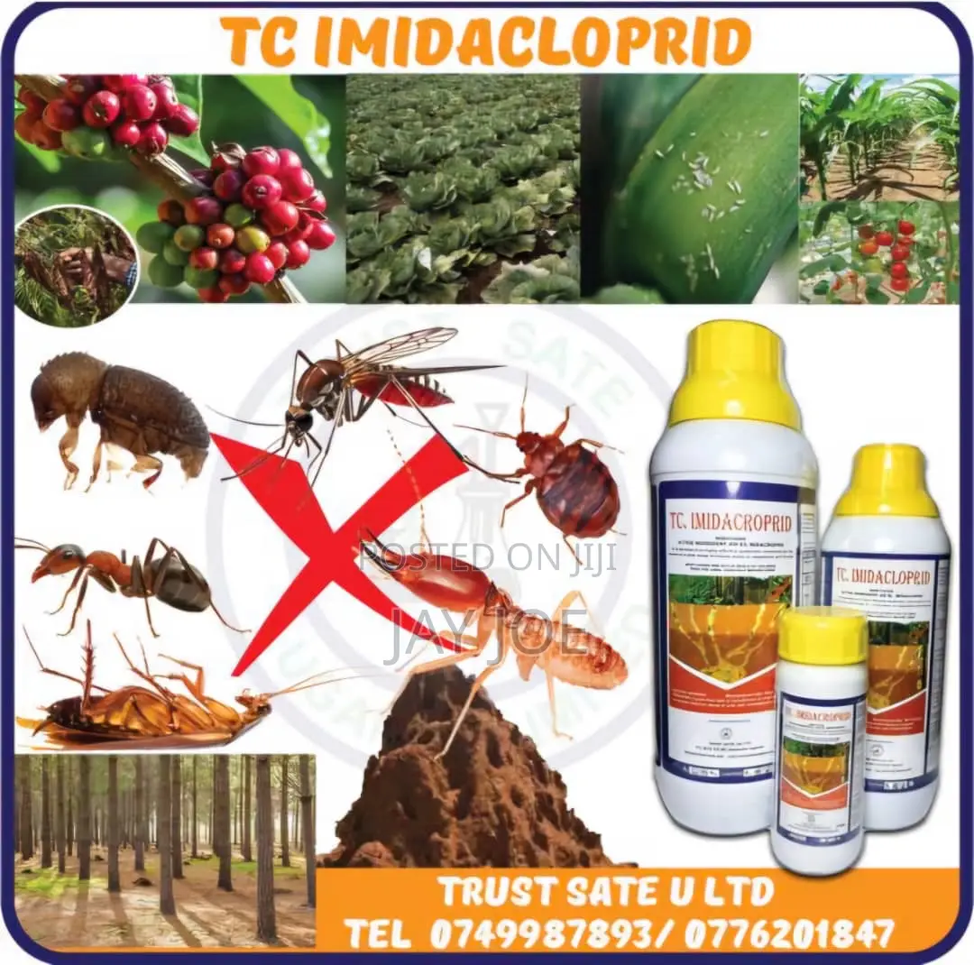 Insecticide