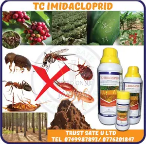 Insecticide