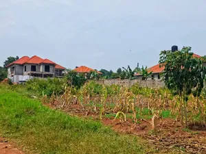 50 Decimals for Sale in Kira at 490m