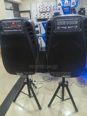 Alipu Single Professional Speaker