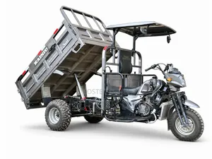 New Tricycle 2026 Gray