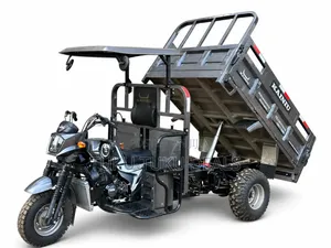 New Tricycle 2026 Gray