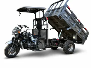 New Tricycle 2026 Gray