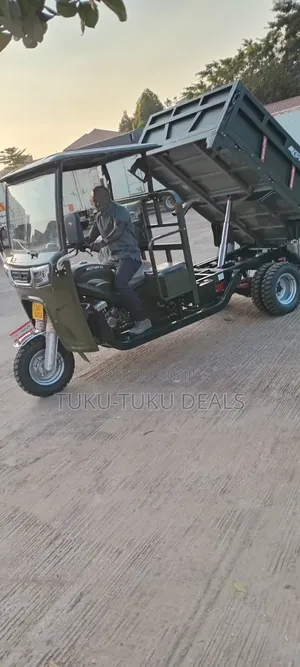 New Tricycle 2026 Gray