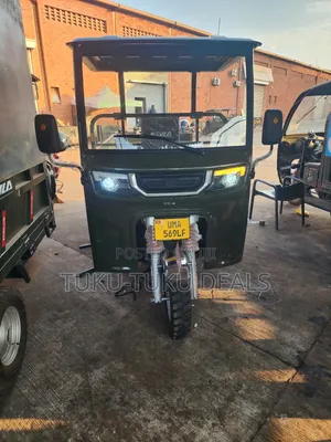 New Tricycle 2026 Gray