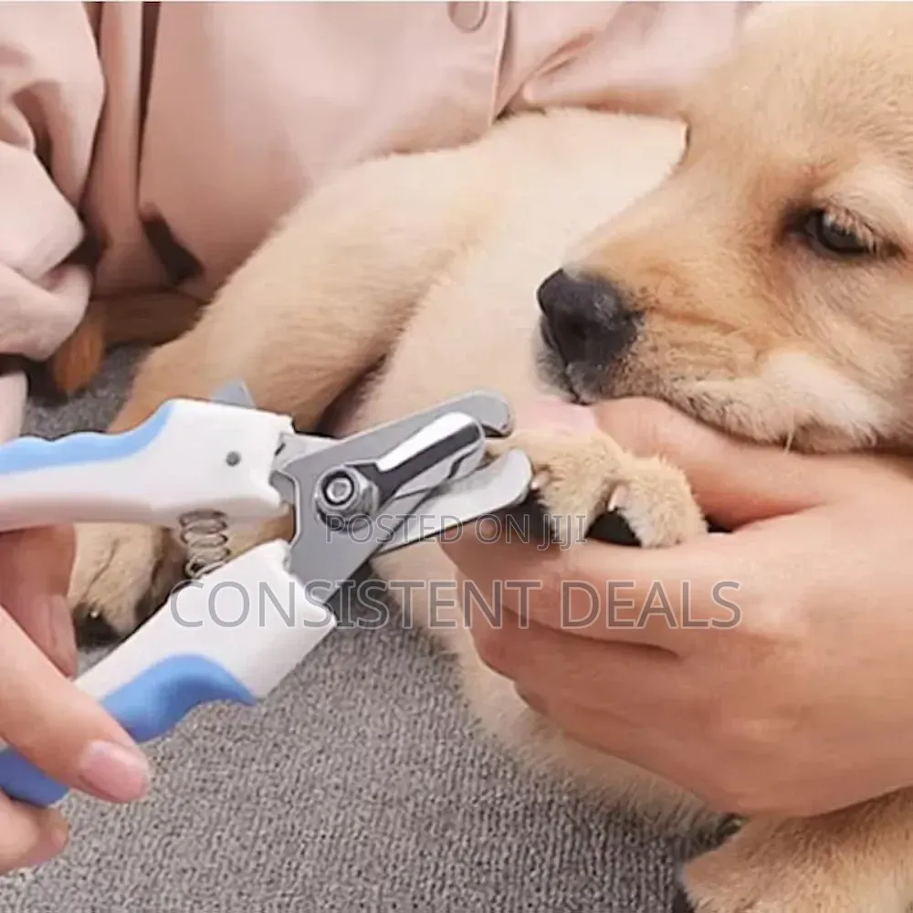 Pet Nail Clipper and File Set