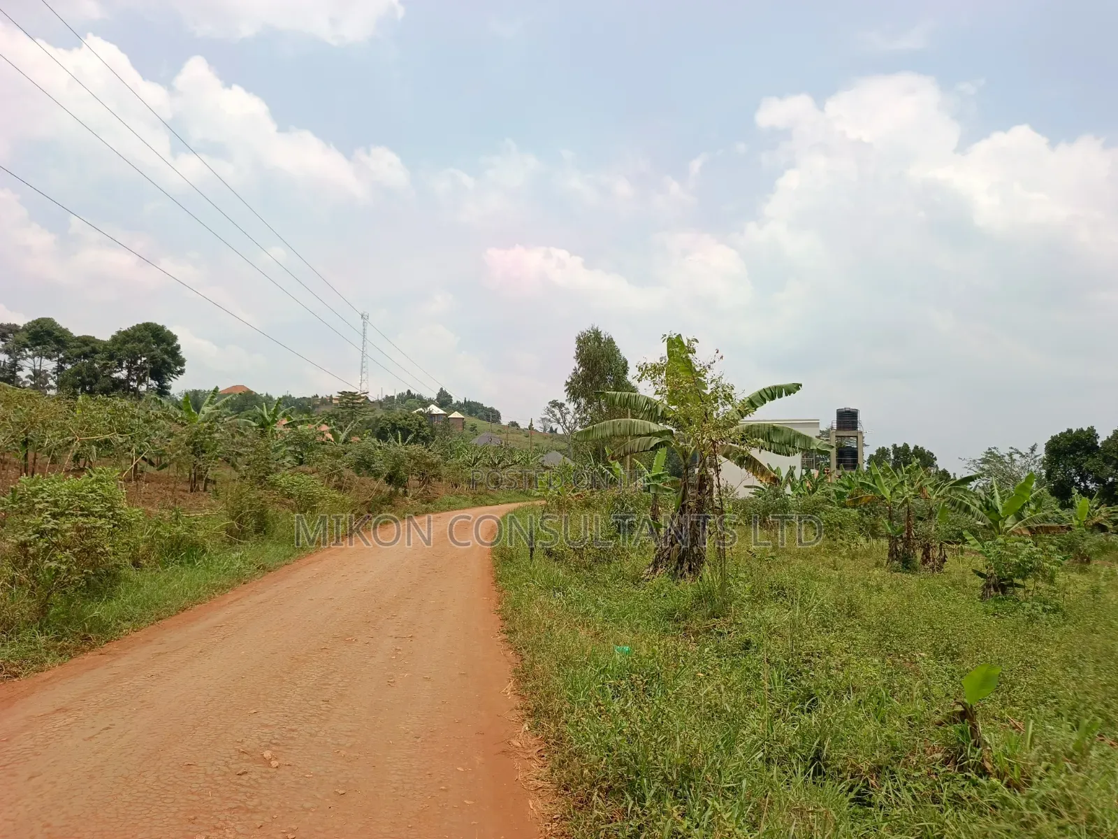 50 by 1pp FTS Plot in Matuga Sanga