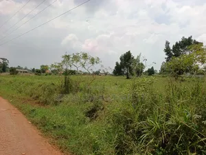 50 by 1pp FTS Plot in Matuga Sanga