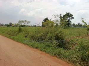 50 by 1pp FTS Plot in Matuga Sanga
