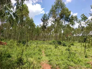 30 Acres in Kimwanyi-Sekamuli Bamunanika on Sale