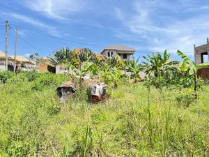 KIRA PLOT FOR SALE 50by100 With Title 65m
