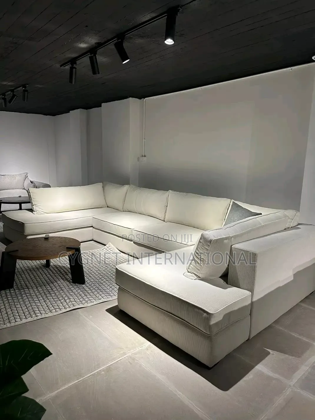 Beautiful and Modern Sofa Set