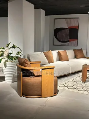 Stylish and Modern Sofa Set