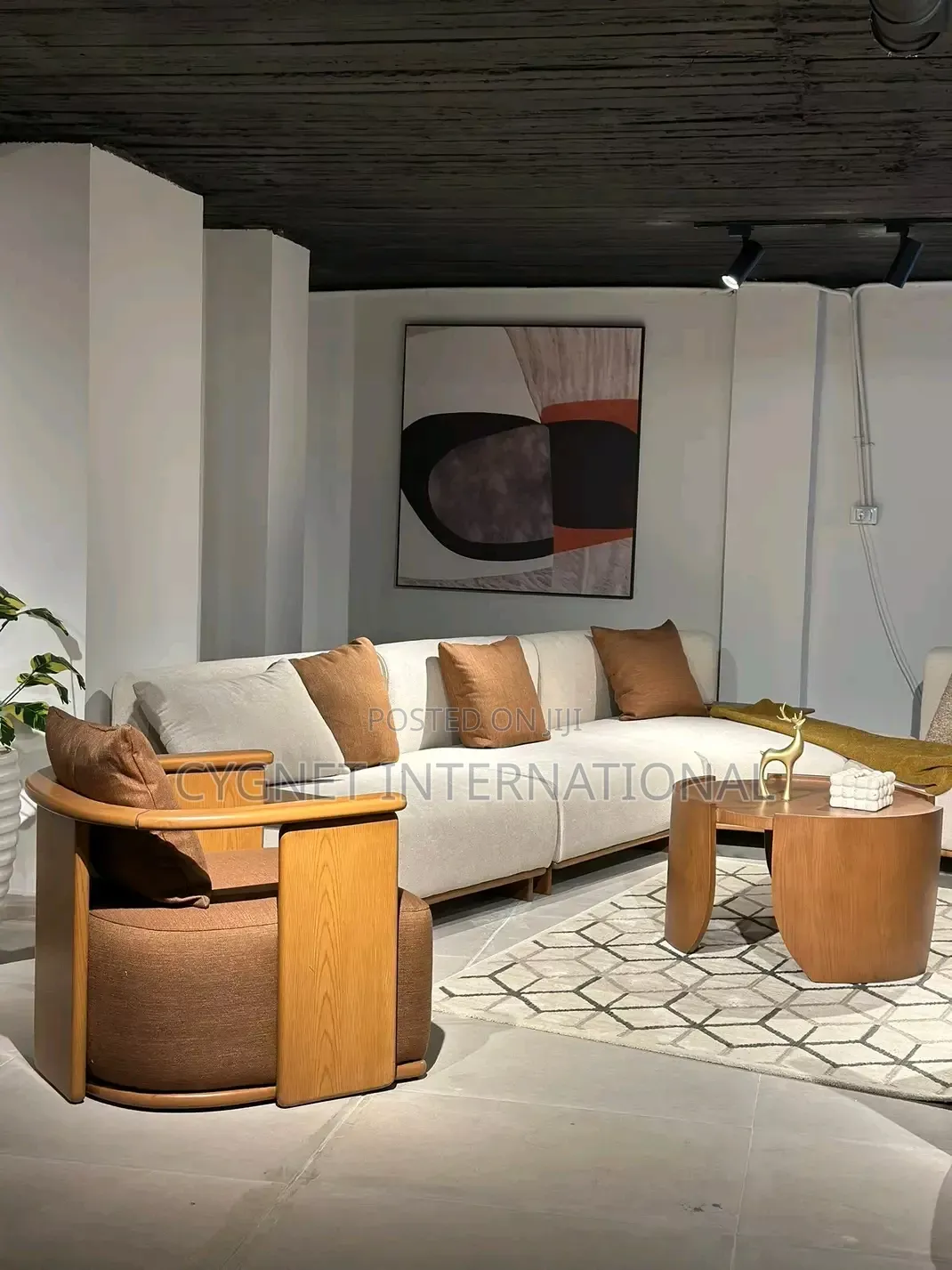 Stylish and Modern Sofa Set