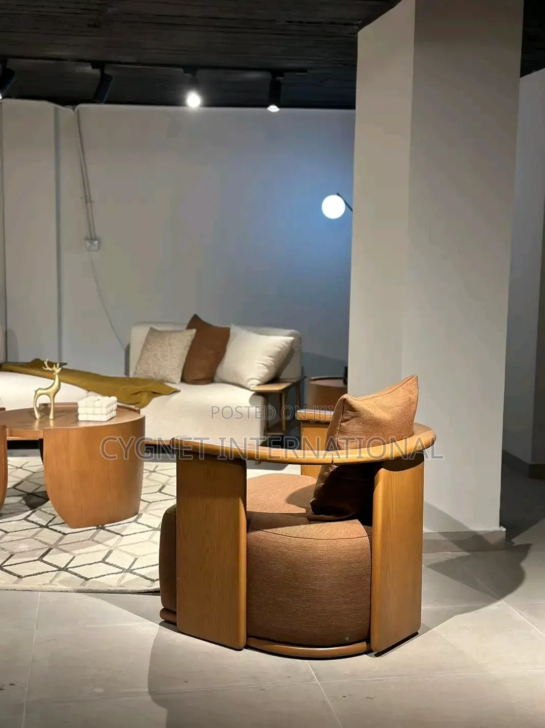 Stylish and Modern Sofa Set