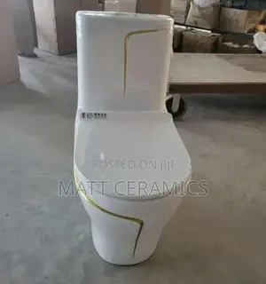 White and Gold Strip Toilet Seat