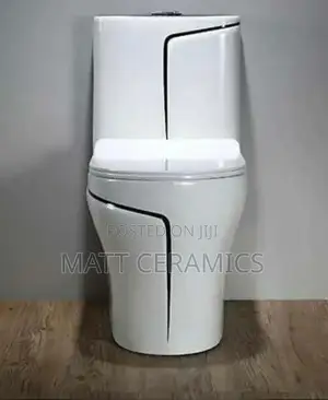 White and Black Toilet Seat