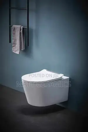 Classy Concealed Toilets
