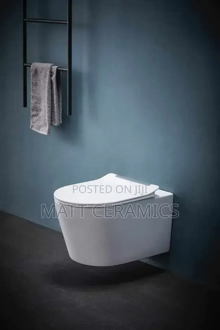 Classy Concealed Toilets