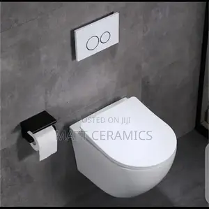 Classy Concealed Toilets