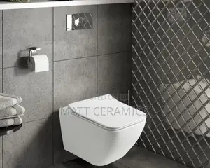 Classy Concealed Toilets