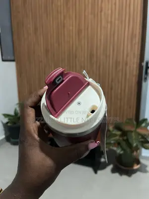 Danny Vacuum Insulated Mug With a Matte Finish - 600mls (Maroon)