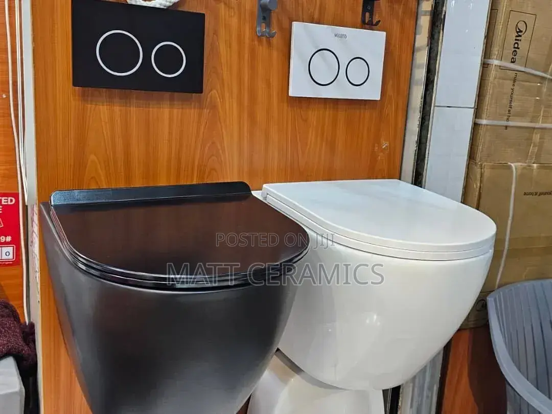 Black Concealed Toilet