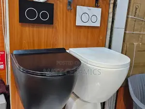 Black Concealed Toilet
