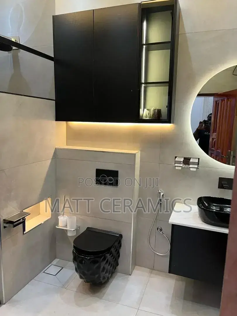 Black Concealed Toilet