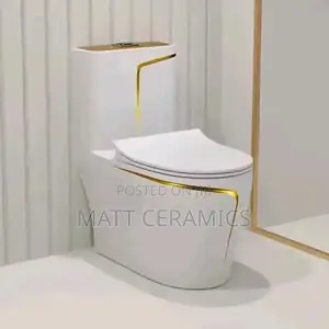 White and Gold Strip Toilet Seat