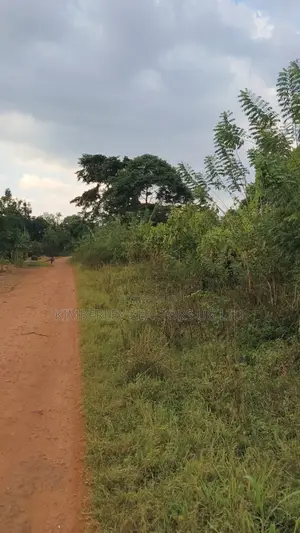 30 Acres Ofland for Sale – Nazigo (Kayunga–jinja Road)