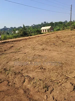 Estate Land