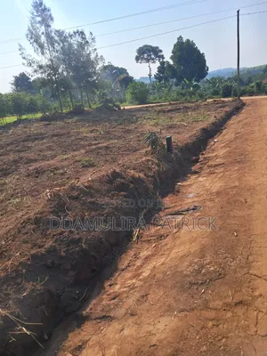 Estate Land