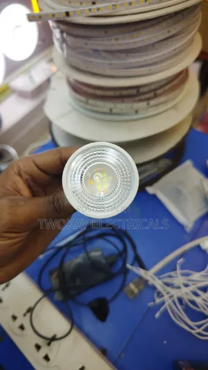 MR16 /GU10 Spot Bulb