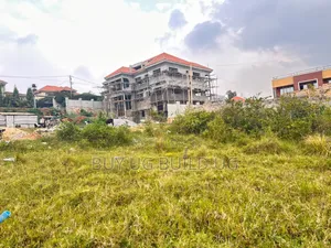 50by100 Kira Mulawa 75m Ready Title