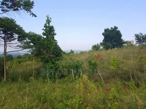 Beautiful 13acres for Sale in Kiyindi_Buikwe at 15million_ugx Per