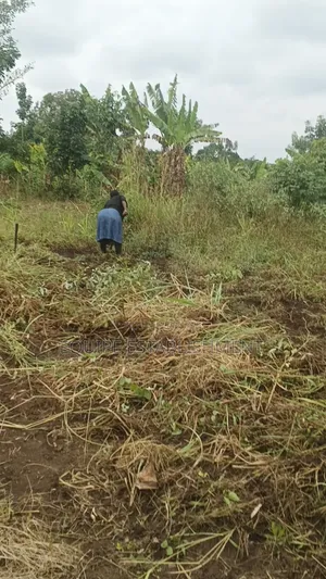 Kibanja Kikandwa Mukono