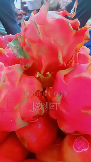 Dragon Fruit