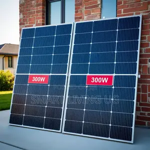 Best Quality 300W Solar Panel at Affordable Price