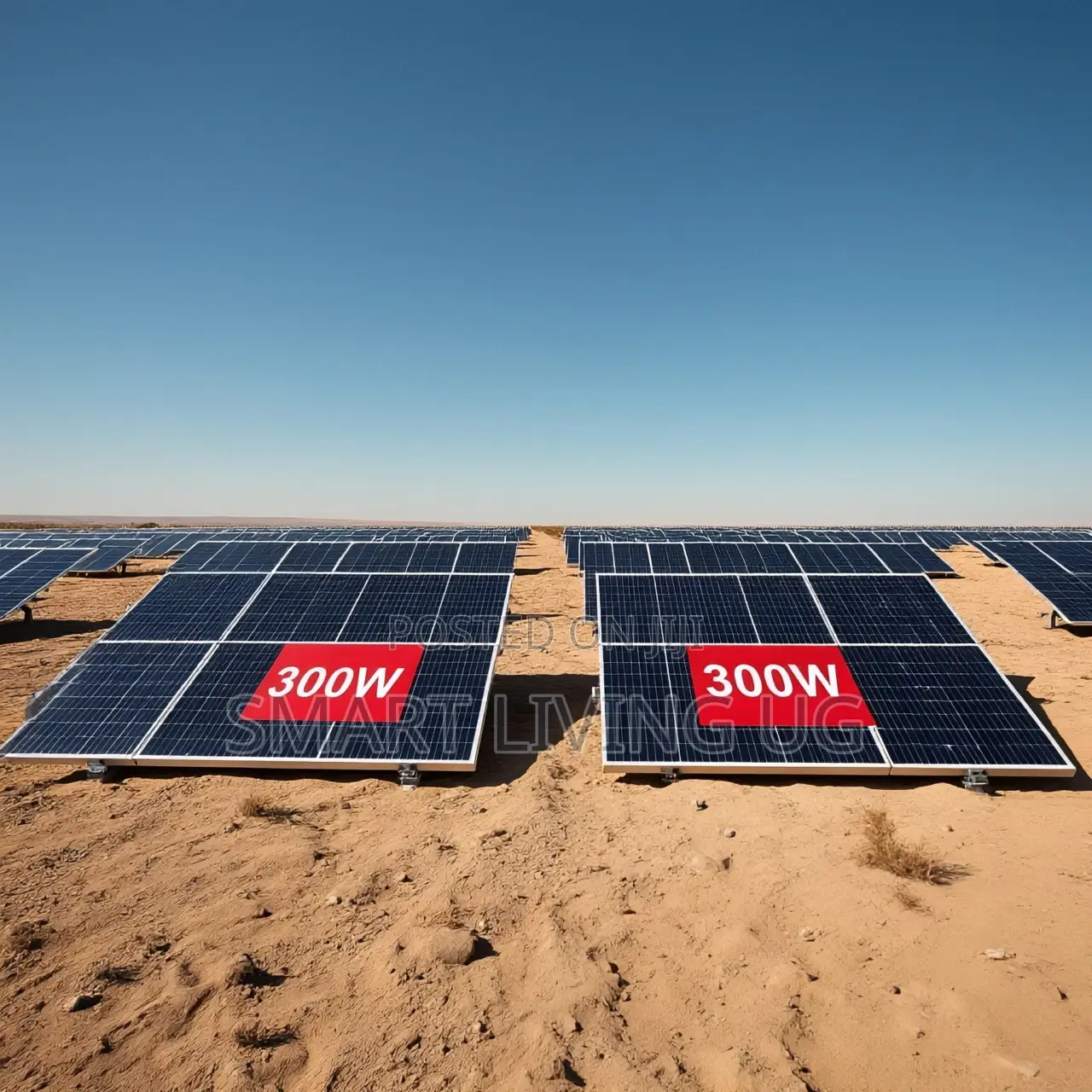 Best Quality 300W Solar Panel at Affordable Price