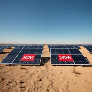 Best Quality 300W Solar Panel at Affordable Price